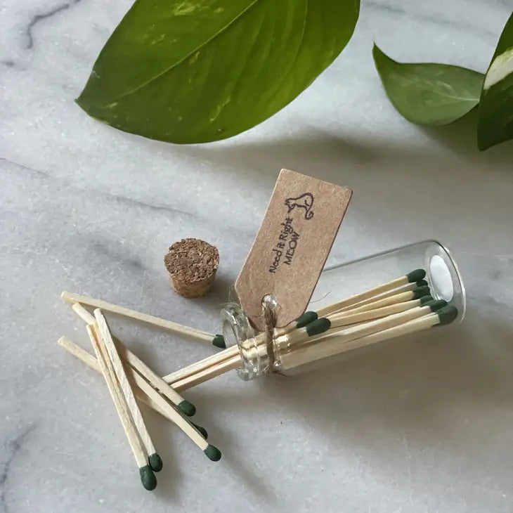 Matches in Glass Tube
