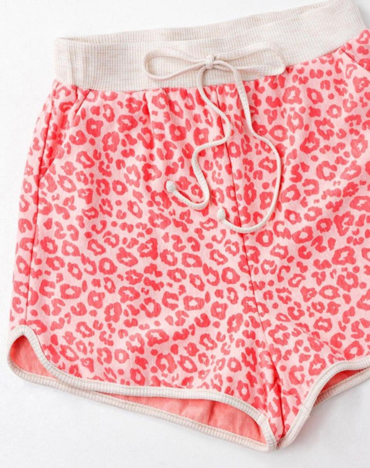 Leopard shorts