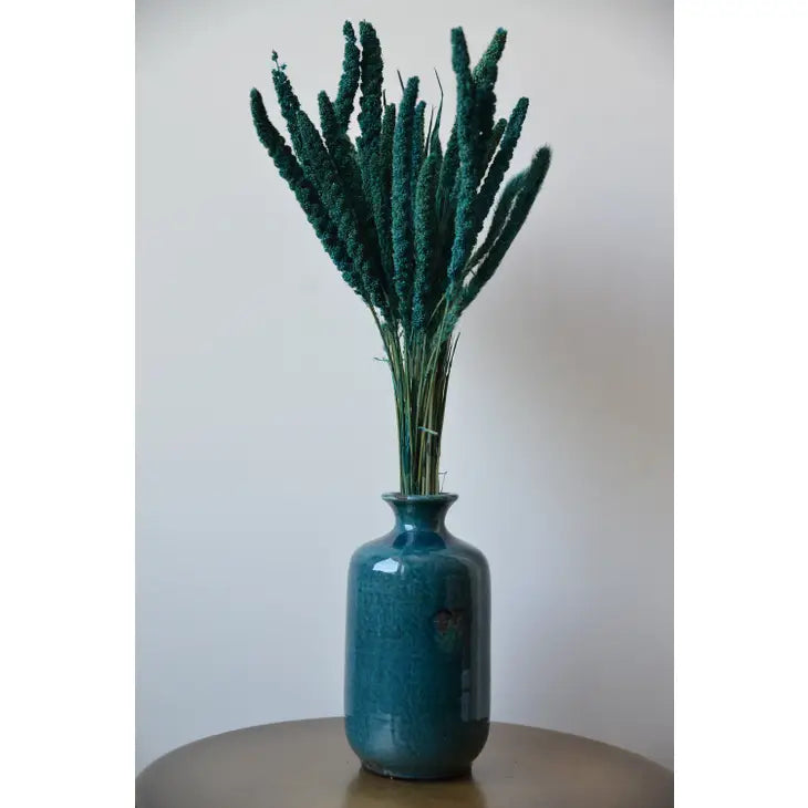 Dried Setaria Grass