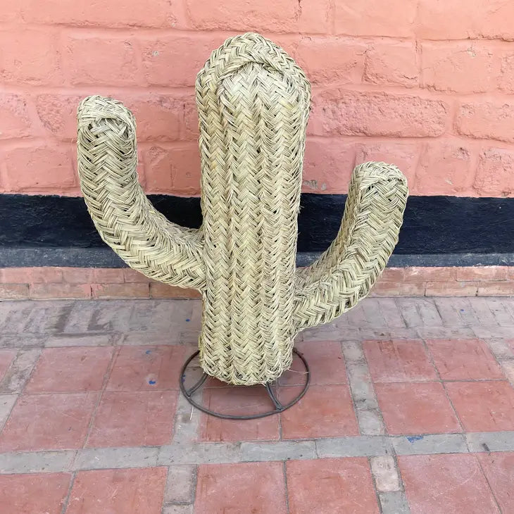 Rattan Cactus