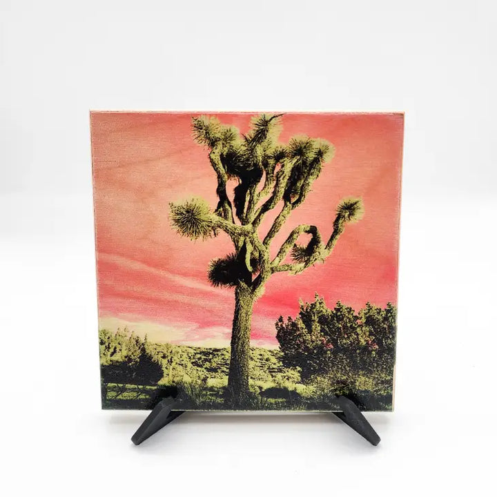 Joshua Tree- Specialty Photo Wood Print