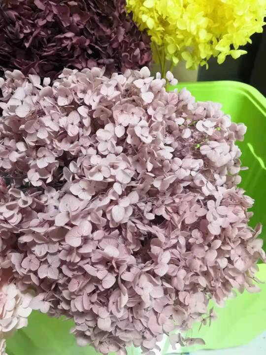 Preserved hydrangeas, Dried floral décor
