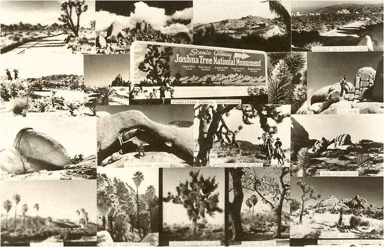 Scenes from Joshua Tree National Monument - Vintage Image, Note Card