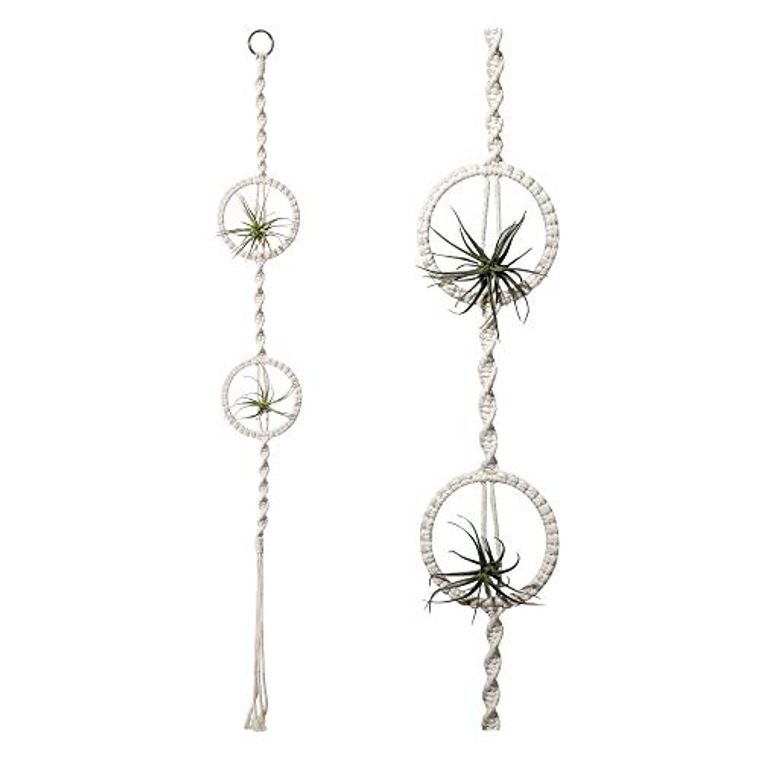 Ivory Handmade Cotton Rope Air Plant Holders, 1 PCS by Potey